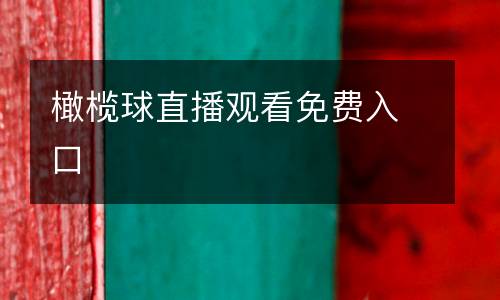 橄欖球直播觀看免費入口