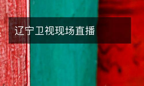 遼寧衛(wèi)視現(xiàn)場直播