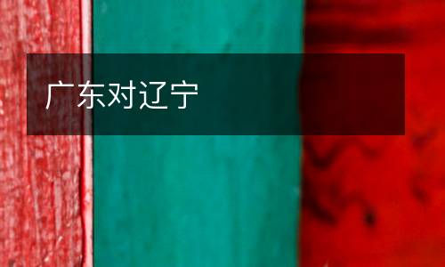 廣東對遼寧