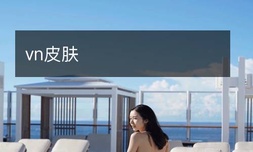 vn皮膚