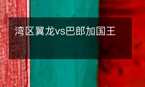灣區(qū)翼龍vs巴郎加國(guó)王