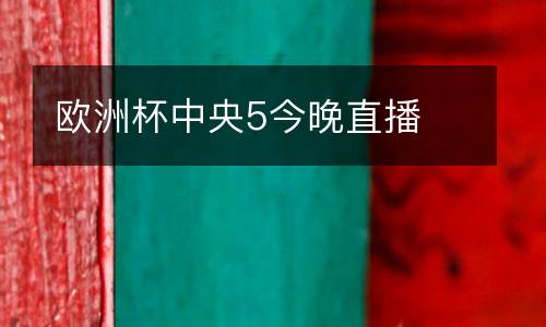 歐洲杯中央5今晚直播