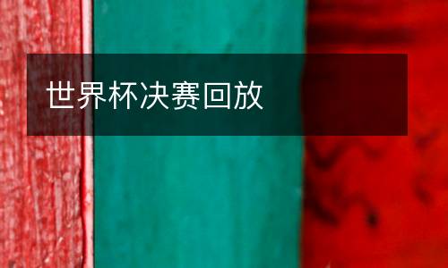 世界杯決賽回放